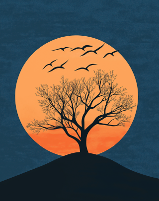 EclecticDesigns sun-9172758_1280